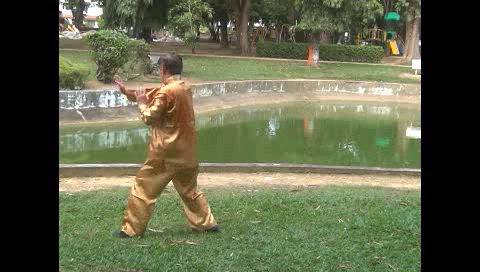 Xingyiquan 12 Animal-Form Continuous Fist