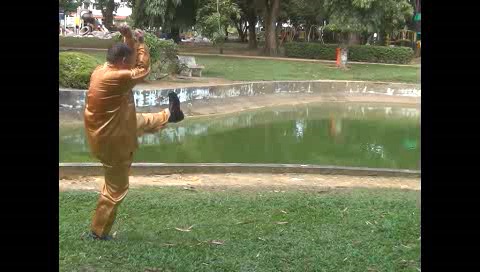 Xingyiquan 12 Animal-Form Continuous Fist