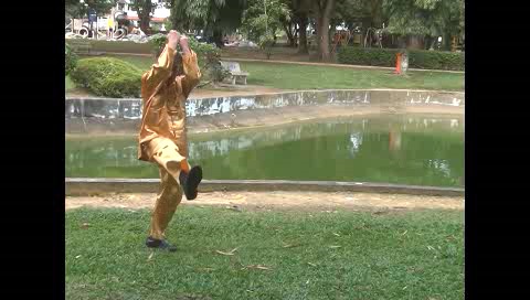 Xingyiquan 12 Animal-Form Continuous Fist