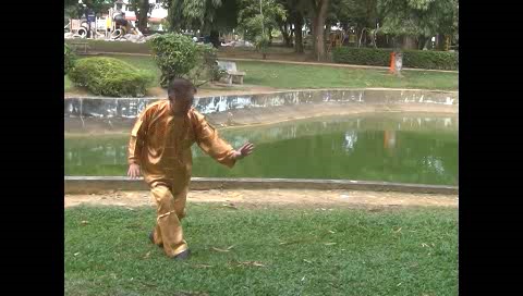 Xingyiquan 12 Animal-Form Continuous Fist