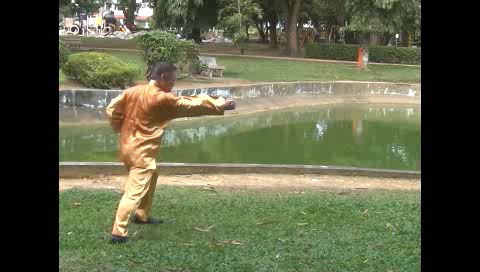 Xingyiquan 12 Animal-Form Continuous Fist