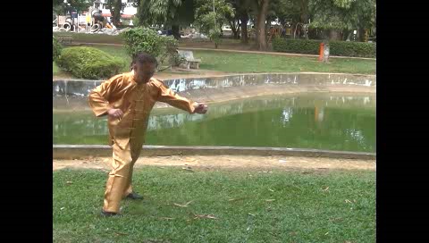 Xingyiquan 12 Animal-Form Continuous Fist