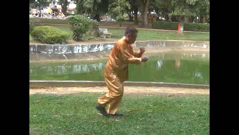 Xingyiquan 12 Animal-Form Continuous Fist