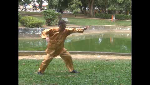 Xingyiquan 12 Animal-Form Continuous Fist