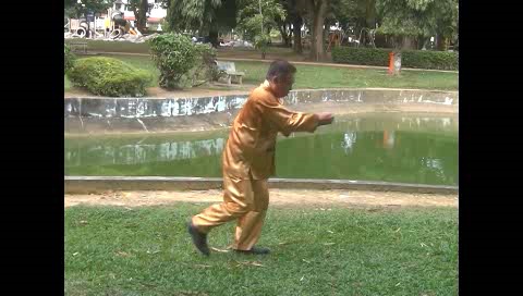 Xingyiquan 12 Animal-Form Continuous Fist