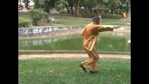 Xingyiquan 12 Animal-Form Continuous Fist