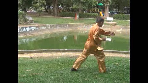 Xingyiquan 12 Animal-Form Continuous Fist