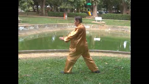 Xingyiquan 12 Animal-Form Continuous Fist