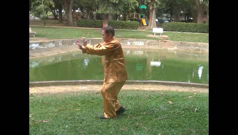 Xingyiquan 12 Animal-Form Continuous Fist