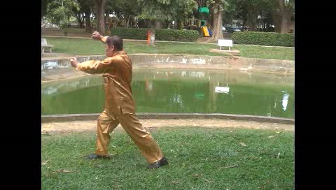 Xingyiquan 12 Animal-Form Continuous Fist