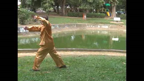 Xingyiquan 12 Animal-Form Continuous Fist