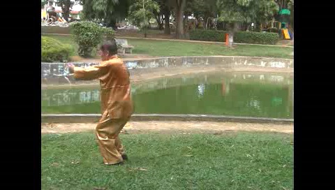 Xingyiquan 12 Animal-Form Continuous Fist