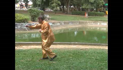 Xingyiquan 12 Animal-Form Continuous Fist