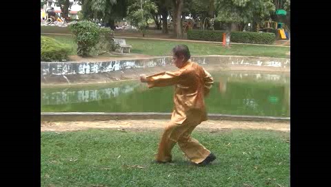 Xingyiquan 12 Animal-Form Continuous Fist