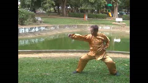 Xingyiquan 12 Animal-Form Continuous Fist