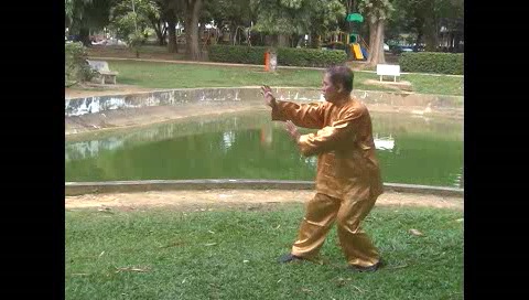 Xingyiquan 12 Animal-Form Continuous Fist