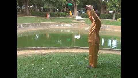 Xingyiquan 12 Animal-Form Continuous Fist