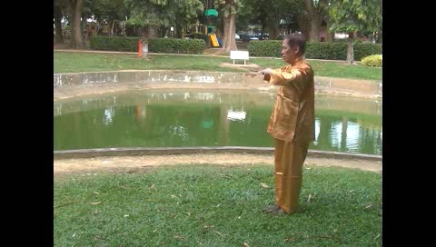 Xingyiquan 12 Animal-Form Continuous Fist