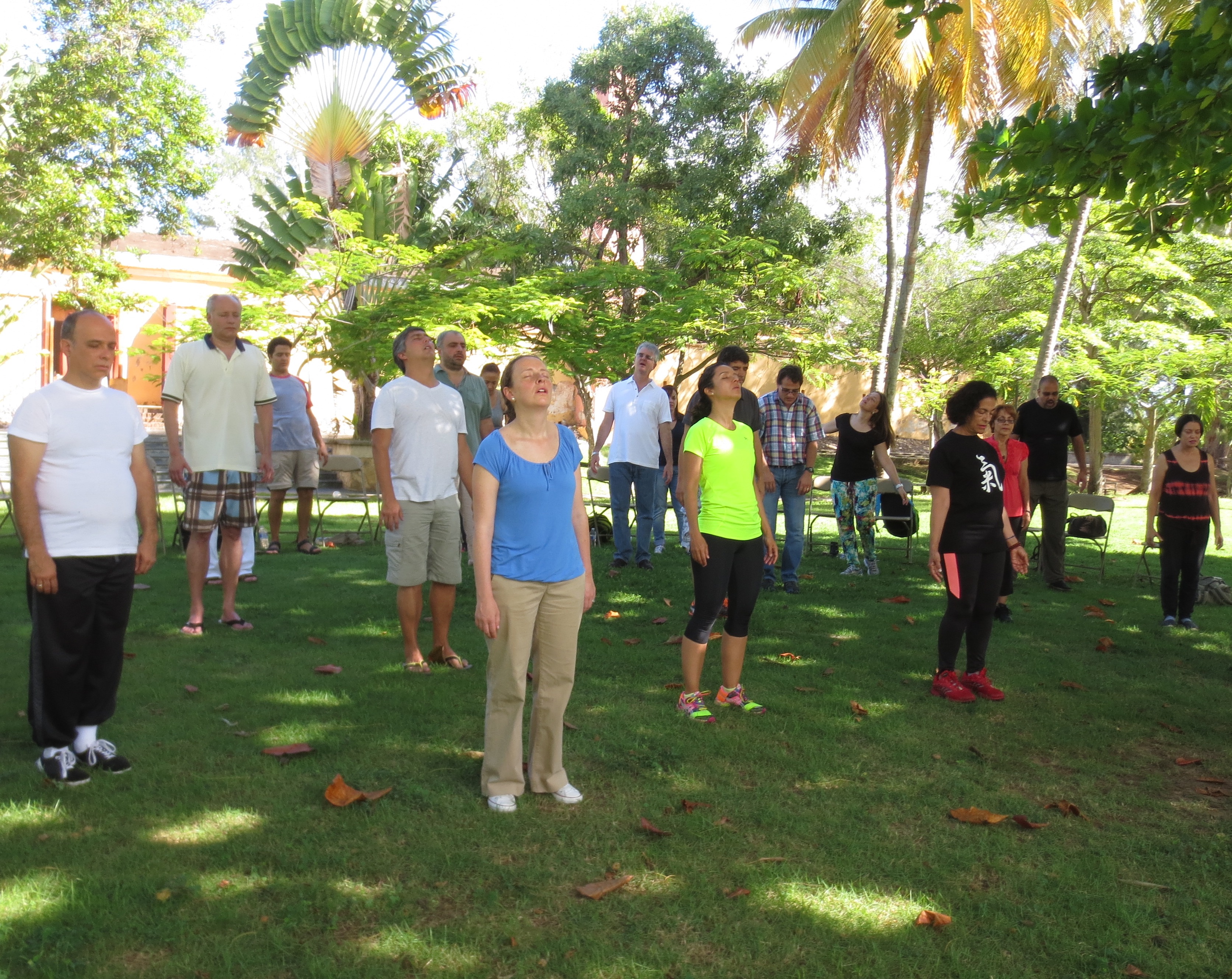 10 Questions on Chi Kung for VIPs -- Part 2 - Chi Kung Practice Benefits