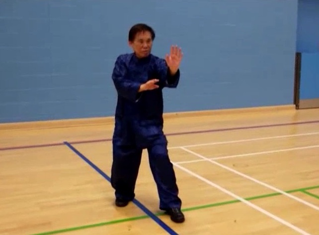 Three-Body Stance of Xingyiquan