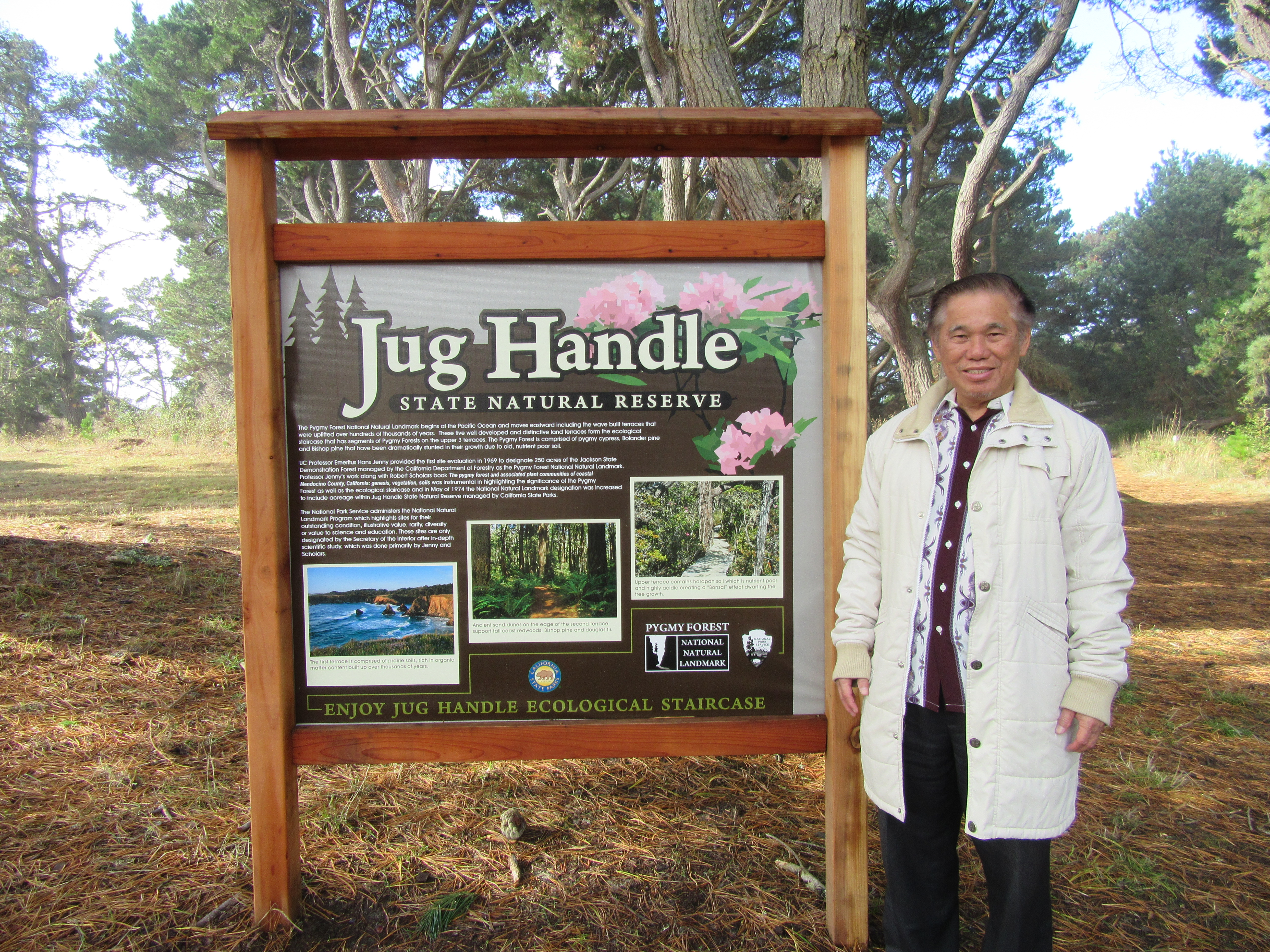 Jug Handle Forest Reserve