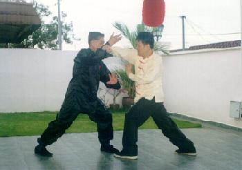 Shaolin combat application