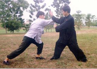 Tai Chi Chuan, Taijiquan