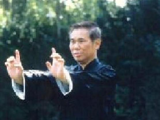 Taijiquan and Shaolin Kungfu