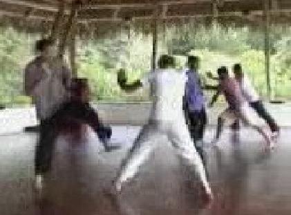 Taijiquan and Shaolin Kungfu