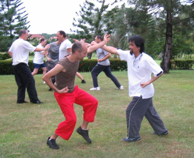 Kungfu Sparring