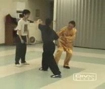 Shaolin Kungfu combat application