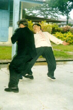 Shaolin and Taijiquan