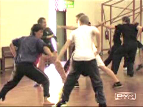 Shaolin Kungfu Kung Fu