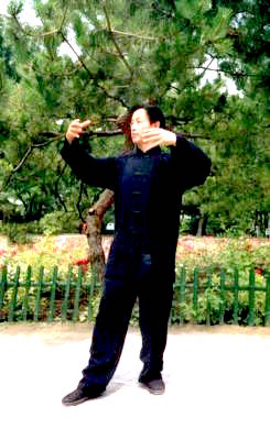 Yiquan Zhan Zhuang