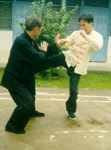 kungfu sparring