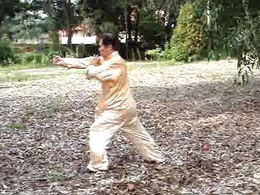 hoong-ka kungfu