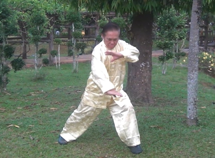 Bong Sau in Southern Shaolin
