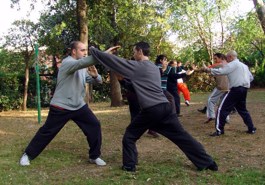 Shaolin Kungfu