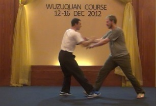 Wuzuquan sparring