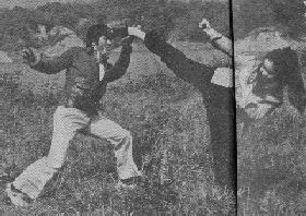 A heroine executing a Bruce Lee's kick