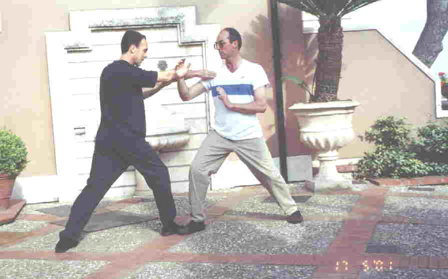 Taijiquan Striking Hands