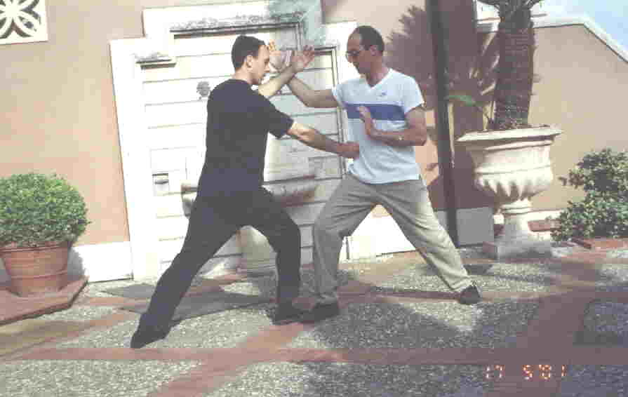 Taijiquan Striking Hands