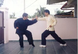 Advanced-Combined Shaolin-Taijiquan Course 2009