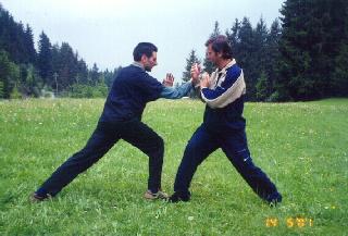 Taijiquan Pushing Hands