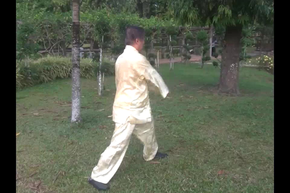 108Pattern TigerCrane Set in Picture Series