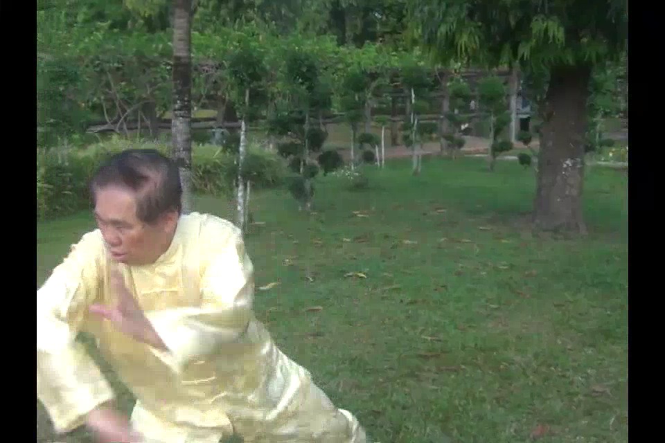 108Pattern TigerCrane Set in Picture Series