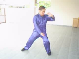 wahnam taijiquan