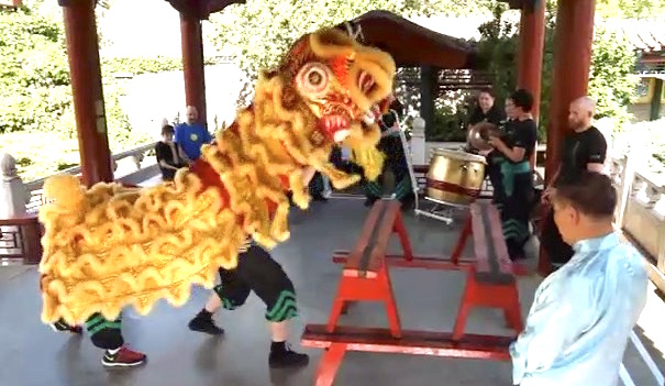 Lion Dance in Bendigo