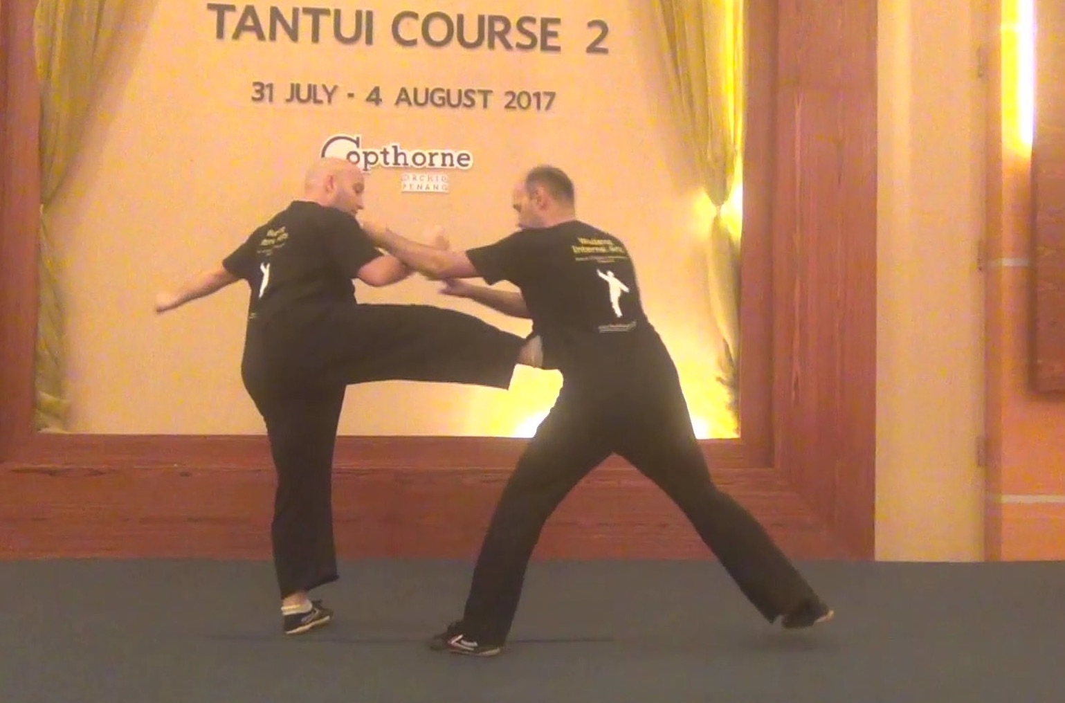 Shaolin Tantui
