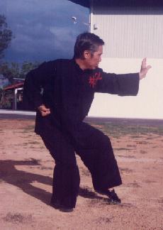 Southern Shaolin Kungfu